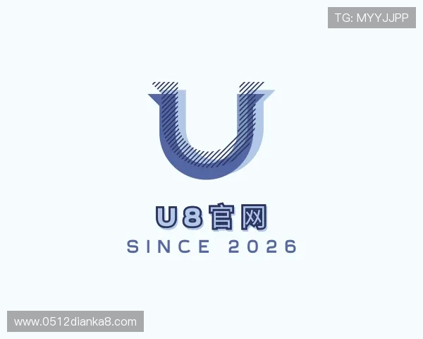 了解U8国际